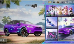 鲨鱼车队成员爆料视频,成员爆料视频曝光幕后真相